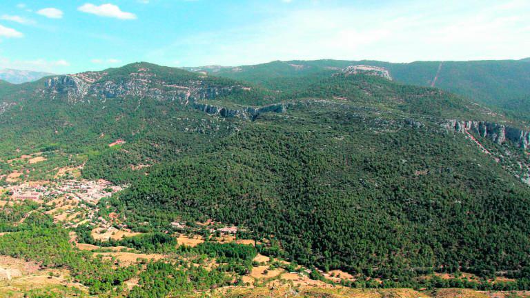 La Junta promocionará la marca Parque Natural de Andalucía como sello de calidad La Junta promocionará la marca Parque Natural de Andalucía como sello de calidad