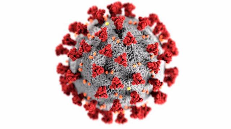 ¿Cuánto duran los anticuerpos contra el covid-19? ¿Cuánto duran los anticuerpos contra el covid-19?
