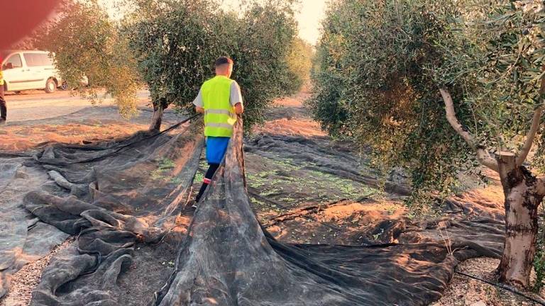 Soledad Aranda respalda las políticas de ayuda a jóvenes agricultores Soledad Aranda respalda las políticas de ayuda a jóvenes agricultores