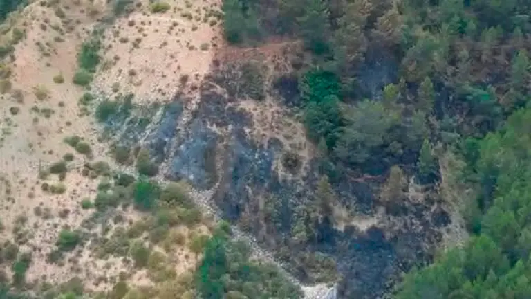 Detenido un vecino de Madrid como presunto autor de un incendio forestal en Campillo de Arenas Detenido un vecino de Madrid como presunto autor de un incendio forestal en Campillo de Arenas
