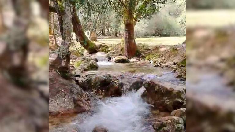 Vaya brío tiene el agua en La Huerta Vieja... Vaya brío tiene el agua en La Huerta Vieja...