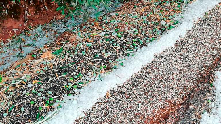 “Excluyen” a la provincia de las ayudas por el temporal “Excluyen” a la provincia de las ayudas por el temporal