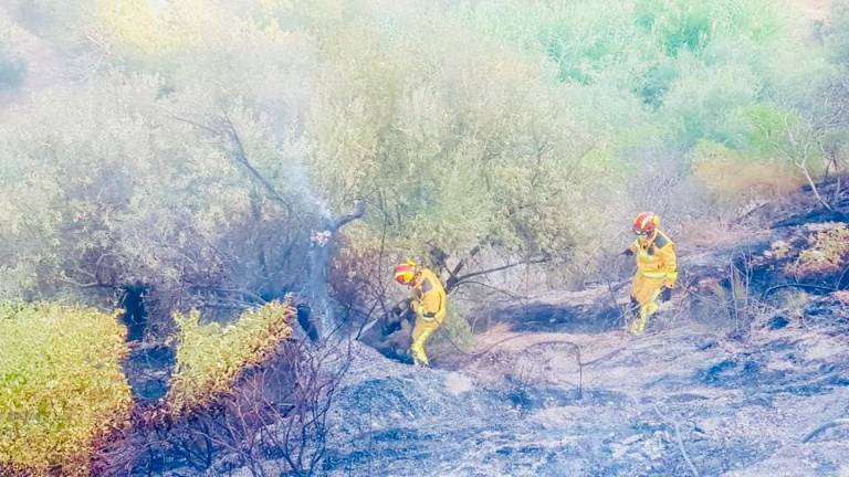 Nuevo en un incendio en el Alto de los Leones Nuevo en un incendio en el Alto de los Leones