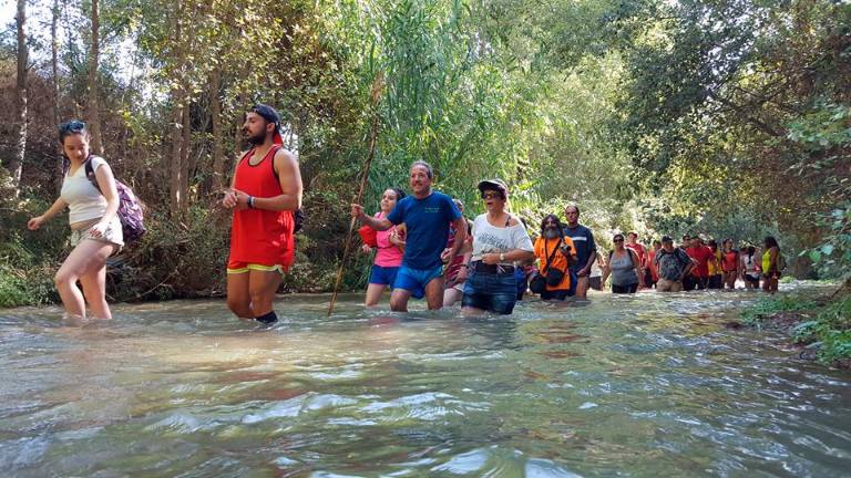 Los Cañones, la lucha incansable Los Cañones, la lucha incansable