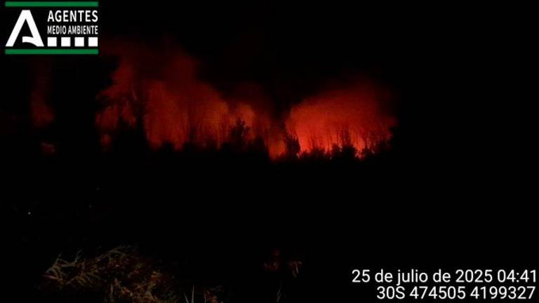 Trabajos para controlar un incendio forestal ya estabilizado en Andújar Trabajos para controlar un incendio forestal ya estabilizado en Andújar