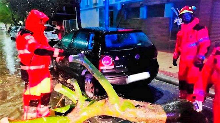 Una veintena de incidencias en la capital, donde el mal tiempo lleva a clausurar los parques públicos Una veintena de incidencias en la capital, donde el mal tiempo lleva a clausurar los parques públicos