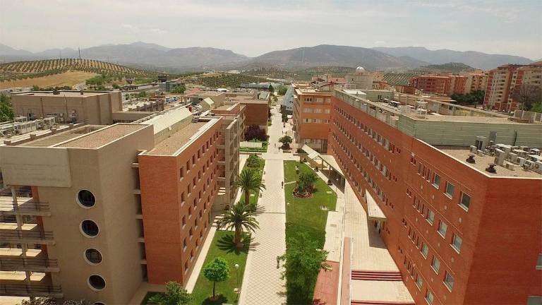 El Consejo Social de la UJA aprueba sus cuentas de 2019 con un balance de 279 millones El Consejo Social de la UJA aprueba sus cuentas de 2019 con un balance de 279 millones
