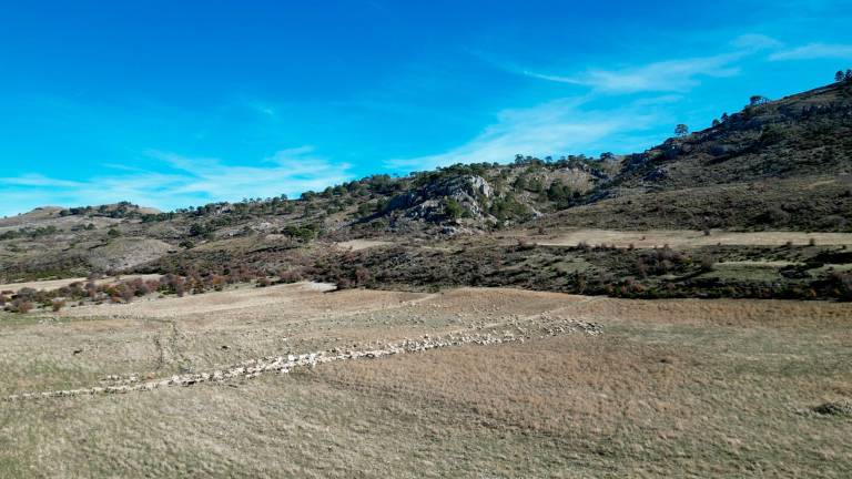 Camino de las ovejas en los Campos de Hernán Pelea Camino de las ovejas en los Campos de Hernán Pelea