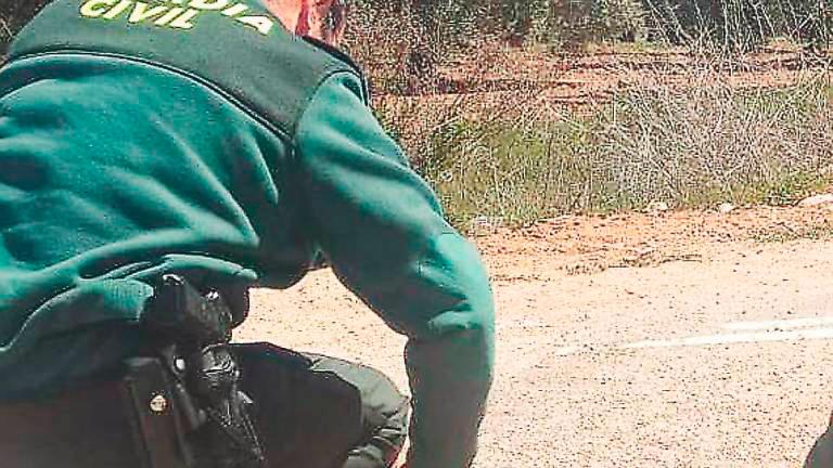Detenido el presunto estafador de compra-venta de maquinaria agrícola Detenido el presunto estafador de compra-venta de maquinaria agrícola