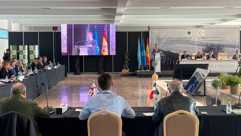 El COI y la Universidad crearán una web para desarrollar un nuevo relato sobre el olivar El COI y la Universidad crearán una web para desarrollar un nuevo relato sobre el olivar