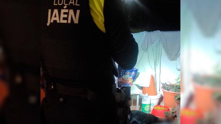 Detenida en Jaén por arrojar a un perro desde un segundo piso Detenida en Jaén por arrojar a un perro desde un segundo piso