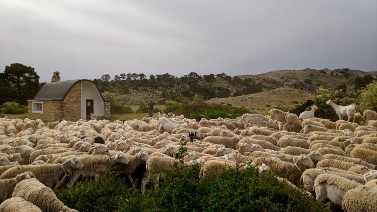 Seis días pegados a “Los Carlillos” por las vereas Seis días pegados a “Los Carlillos” por las vereas