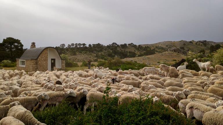 Seis días pegados a “Los Carlillos” por las vereas