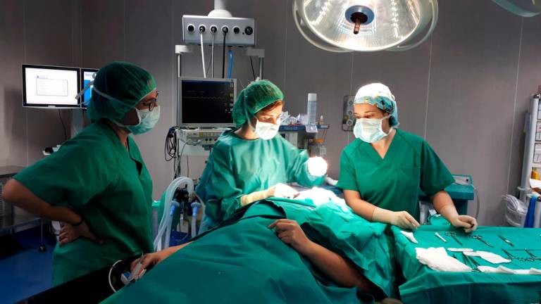 El hospital contabilizo 604.300 actos asistenciales en 14 años El hospital contabilizo 604.300 actos asistenciales en 14 años