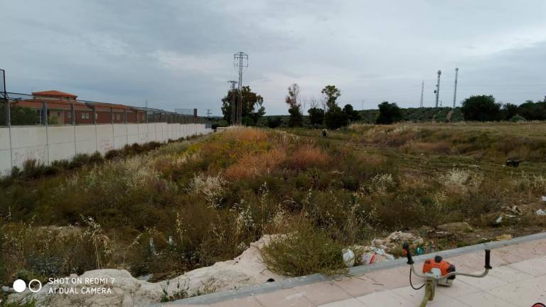 Continúan los trabajos de desbroce y limpieza en casi un centenar de terrenos de la capital Continúan los trabajos de desbroce y limpieza en casi un centenar de terrenos de la capital