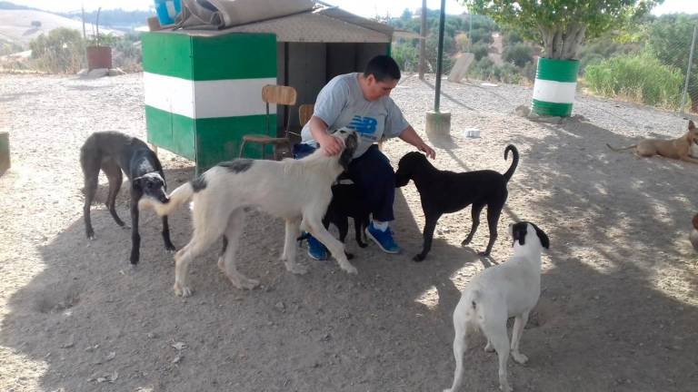 La protectora canina de La Carolina, al límite La protectora canina de La Carolina, al límite