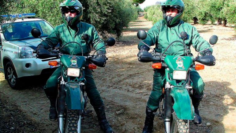 Casi 1.200 guardias civiles intentarán evitar robos de aceituna esta campaña Casi 1.200 guardias civiles intentarán evitar robos de aceituna esta campaña