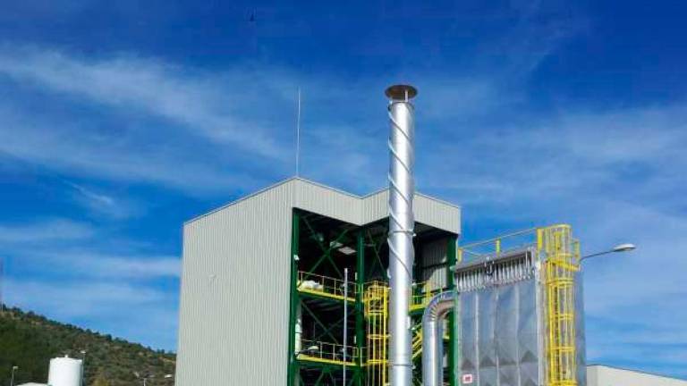 Proyecto jiennense para reducir hasta 50.000 toneladas de dióxido de carbono, que apoya el Miteco Proyecto jiennense para reducir hasta 50.000 toneladas de dióxido de carbono, que apoya el Miteco
