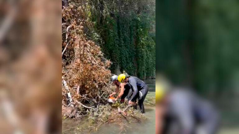Los bomberos de Jaén retiran un árbol caído en la zona de Los Cañones Los bomberos de Jaén retiran un árbol caído en la zona de Los Cañones