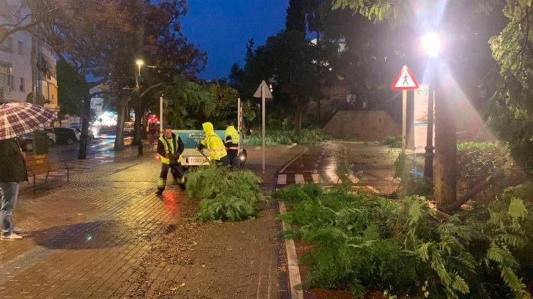 Una treintena de incidencias por lluvia y viento en Málaga Una treintena de incidencias por lluvia y viento en Málaga