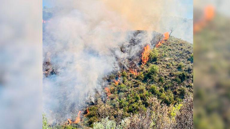 Estabilizado un incendio en Los Villares, en la Carrasquilla Estabilizado un incendio en Los Villares, en la Carrasquilla