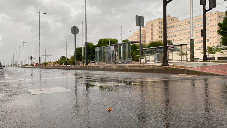 Jaén afronta una semana de agua: Habrá lluvias desde este domingo Jaén afronta una semana de agua: Habrá lluvias desde este domingo