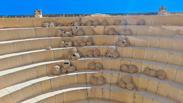 Ña y las golondrinas del Puente del Obispo Ña y las golondrinas del Puente del Obispo