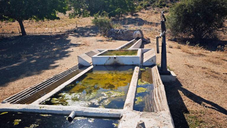 Poyotello, una aldea donde naturaleza y arte se funden Poyotello, una aldea donde naturaleza y arte se funden