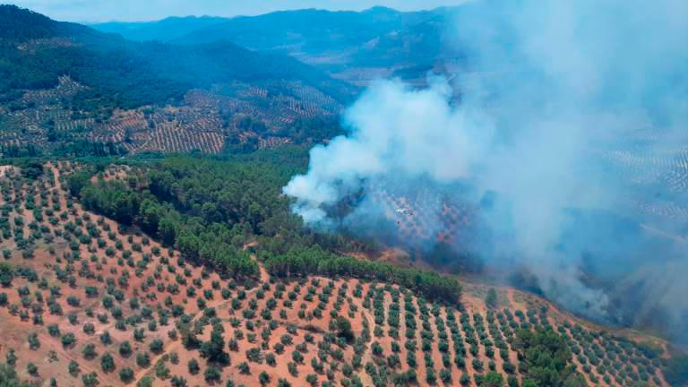Extinguido el incendio de Torres de Albanchez Extinguido el incendio de Torres de Albanchez