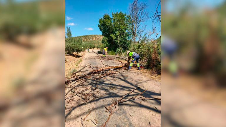 Comienzan los trabajos de mejora de la carretera en el término municipal de Castellar Comienzan los trabajos de mejora de la carretera en el término municipal de Castellar