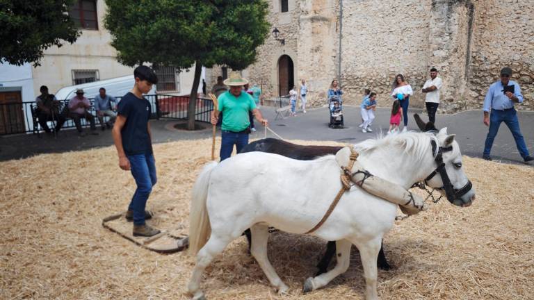 La trilla tradicional perdura al paso del tiempo en Santiago-Pontones La trilla tradicional perdura al paso del tiempo en Santiago-Pontones