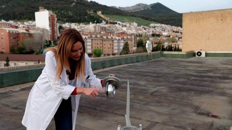 El Hospital Universitario de Jaén finaliza la medición de los niveles de polen en la provincia El Hospital Universitario de Jaén finaliza la medición de los niveles de polen en la provincia