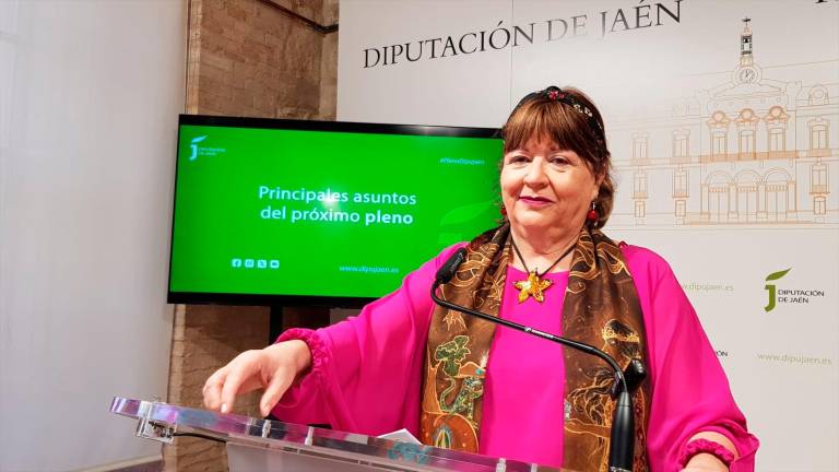 Parra anima al PP a “subirse al carro” del trabajo por la provincia Parra anima al PP a “subirse al carro” del trabajo por la provincia