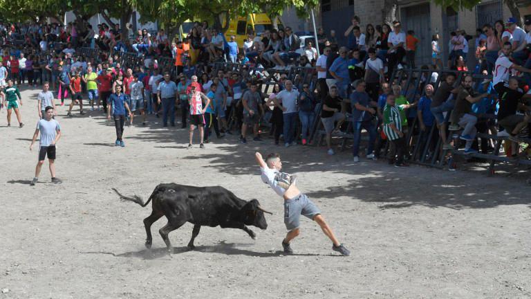 Torreperogil espera por el tercer encierro del toro del aguardiente Torreperogil espera por el tercer encierro del toro del aguardiente