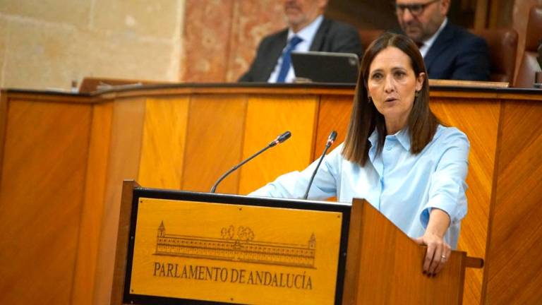 El PP acusa al PSOE de usar “bombas de humo” respecto al Virus del Nilo El PP acusa al PSOE de usar “bombas de humo” respecto al Virus del Nilo