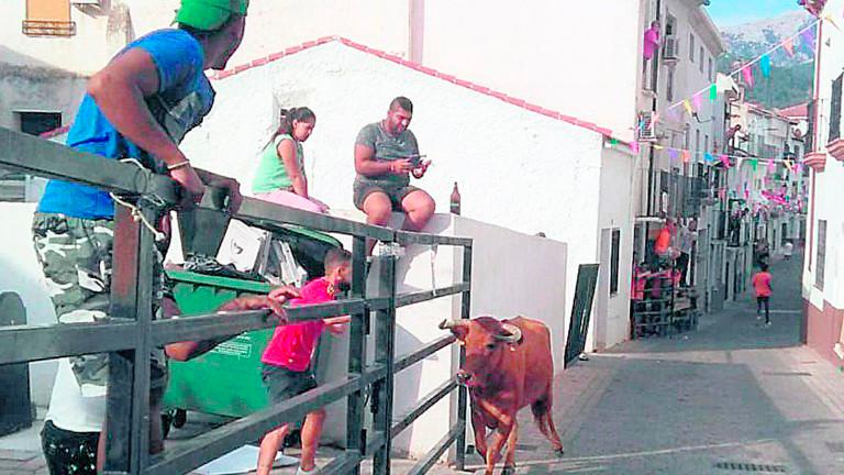 Hornos se prepara para tres días de encierros de reses bravas Hornos se prepara para tres días de encierros de reses bravas