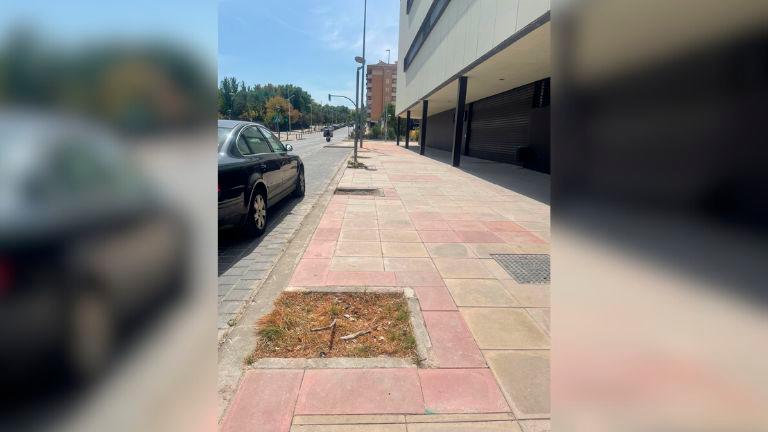 El PP exige mejoras en el entorno del nuevo Conservatorio El PP exige mejoras en el entorno del nuevo Conservatorio