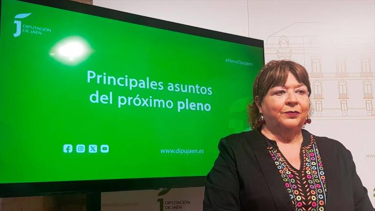 El Plan Especial de Empleo será el centro del último pleno del año El Plan Especial de Empleo será el centro del último pleno del año