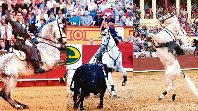 Protagonismo para los rejones Protagonismo para los rejones