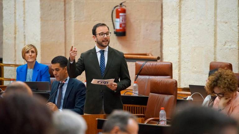 El PP señala que las obras en la A-315 resolverán “un problema endémico” El PP señala que las obras en la A-315 resolverán “un problema endémico”