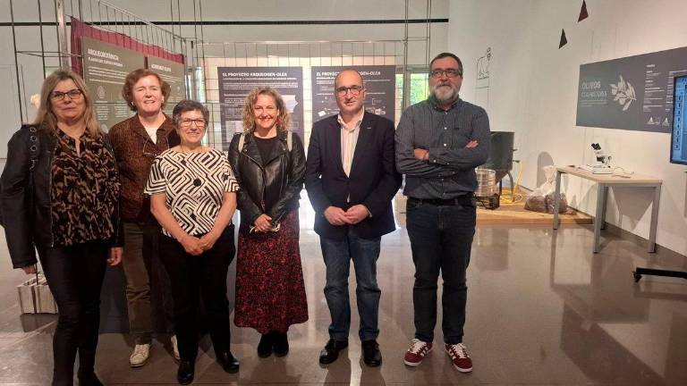 El Museo Íbero acoge la historia evolutiva del olivo en la península El Museo Íbero acoge la historia evolutiva del olivo en la península