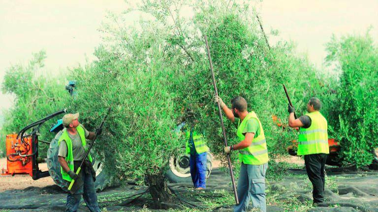 El paro desciende en Jaén en más de 5.000 personas El paro desciende en Jaén en más de 5.000 personas