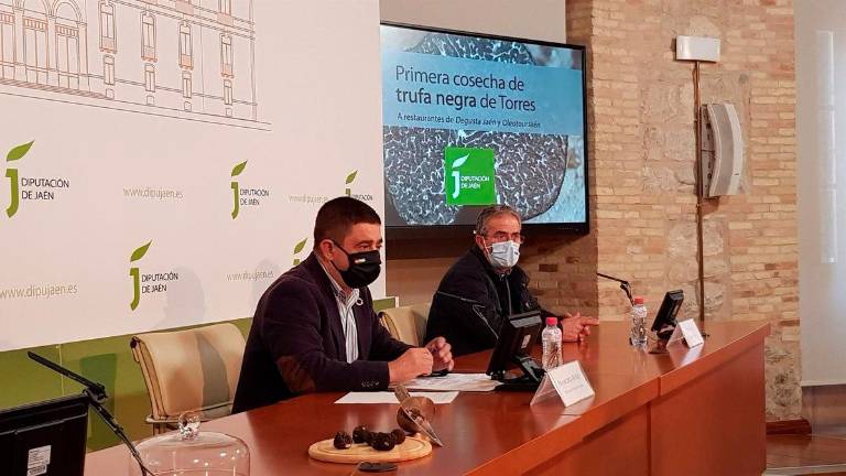 Restauradores de la provincia conocen la primera cosecha de trufa negra cultivada en Torres Restauradores de la provincia conocen la primera cosecha de trufa negra cultivada en Torres