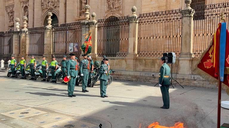 La Plaza de Santa María se viste de verde por la festividad del Pilar La Plaza de Santa María se viste de verde por la festividad del Pilar