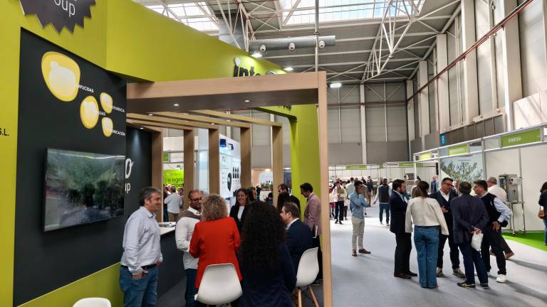 Catas, divulgación y clima para despedir Expoliva 2025 Catas, divulgación y clima para despedir Expoliva 2025