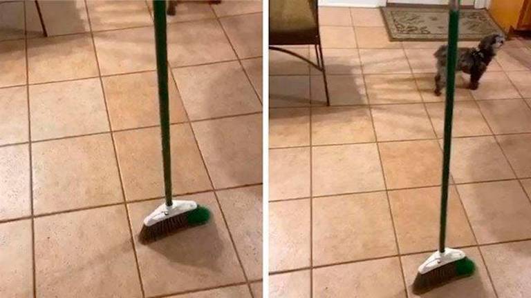¿Qué es el #BroomChallenge? Y ¿Qué tiene que ver la NASA en todo esto? ¿Qué es el #BroomChallenge? Y ¿Qué tiene que ver la NASA en todo esto?
