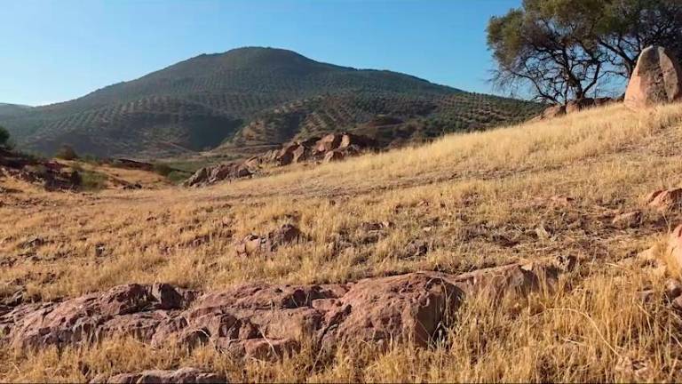 Habitantes del baldío Habitantes del baldío