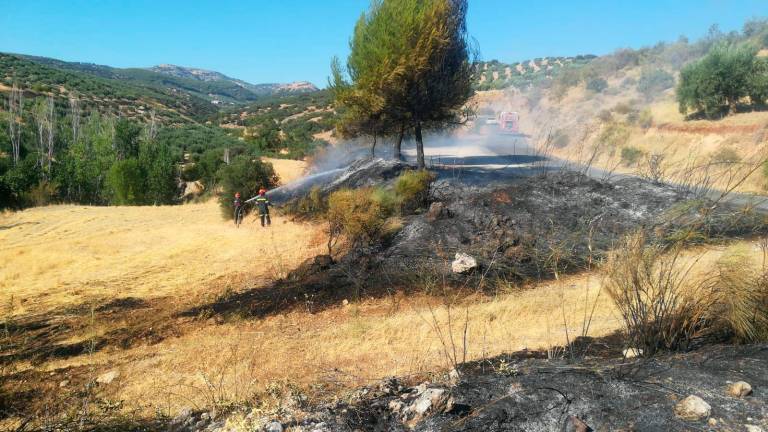 Tres incendios en el mismo paraje de Alcalá Tres incendios en el mismo paraje de Alcalá