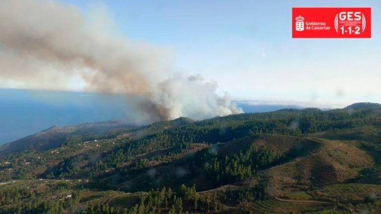 El incendio de La Palma afecta a 40 hectáreas, quema 11 viviendas y desaloja a 500 vecinos El incendio de La Palma afecta a 40 hectáreas, quema 11 viviendas y desaloja a 500 vecinos