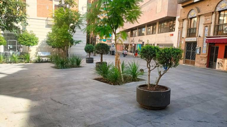 Impulsada una campaña para embellecer Jaén con maceteros Impulsada una campaña para embellecer Jaén con maceteros